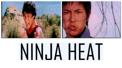 Ninja Heat (1972)