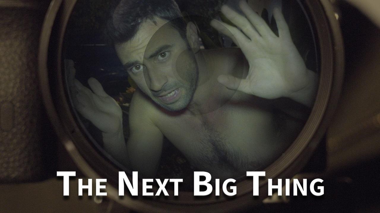 The Next Big Thing (2016)